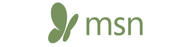 Msn logo